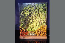 A path in the Forest